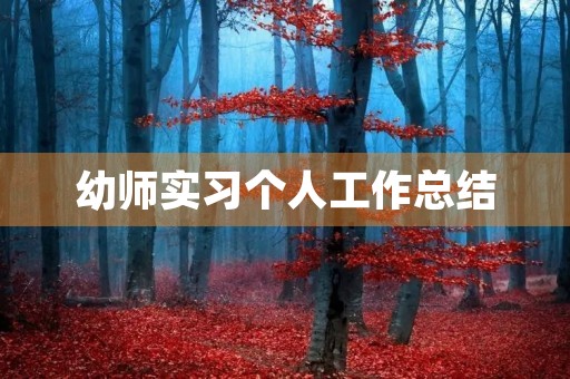 幼师实习个人工作总结