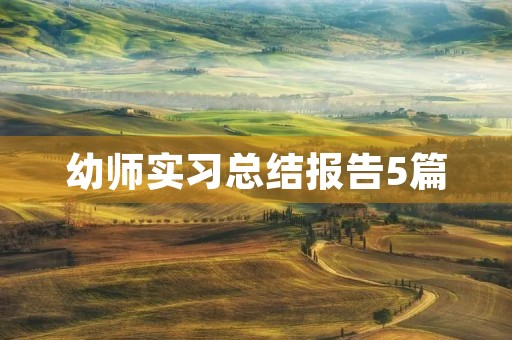 幼师实习总结报告5篇