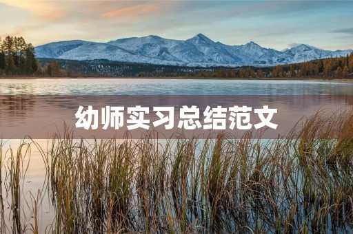幼师实习总结范文