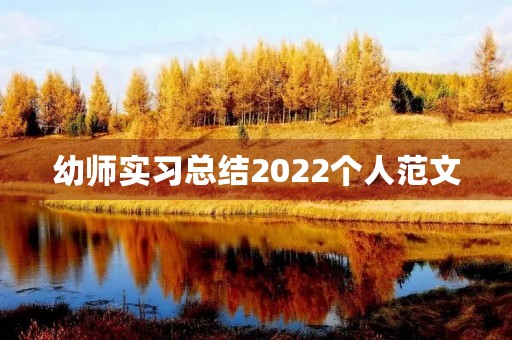 幼师实习总结2022个人范文