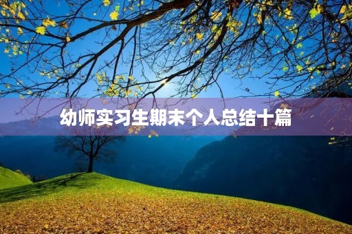 幼师实习生期末个人总结十篇