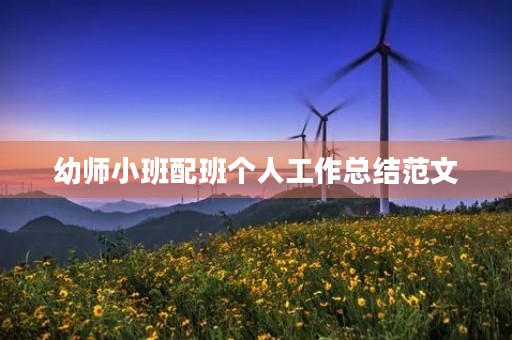 幼师小班配班个人工作总结范文