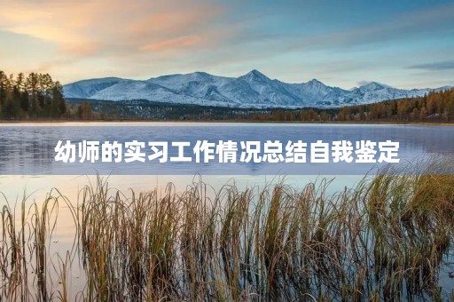 幼师的实习工作情况总结自我鉴定