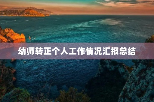 幼师转正个人工作情况汇报总结
