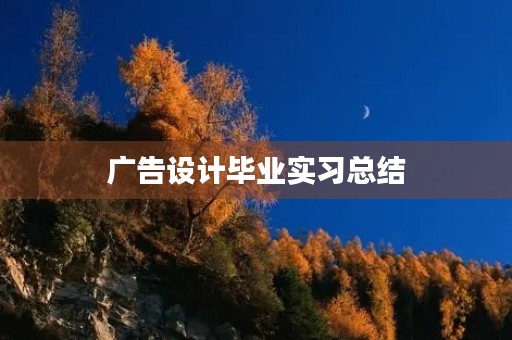 广告设计毕业实习总结 广告设计毕业实习总结