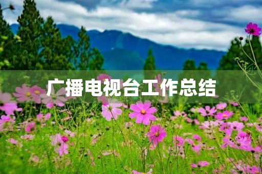 广播电视台工作总结 广播电视台工作总结