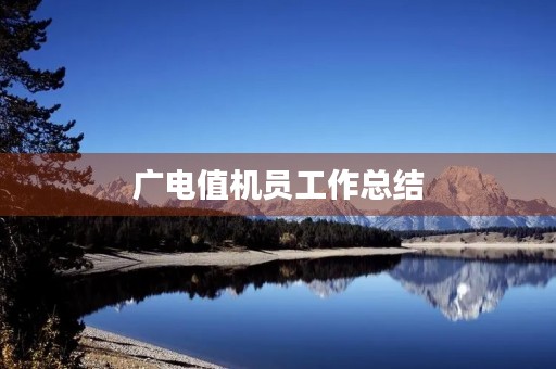 广电值机员工作总结