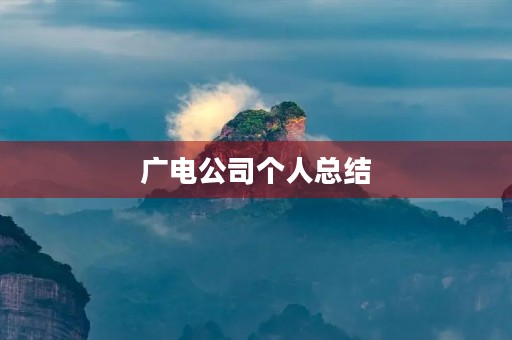 广电公司个人总结