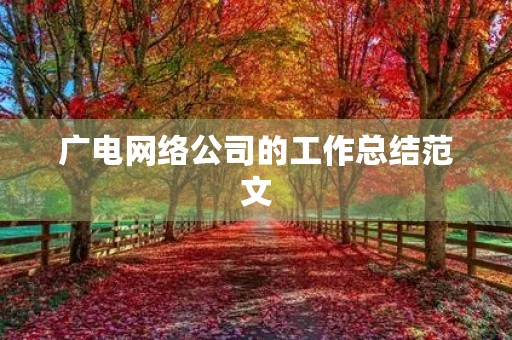 广电网络公司的工作总结范文