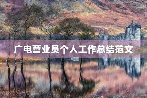 广电营业员个人工作总结范文