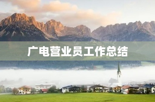 广电营业员工作总结