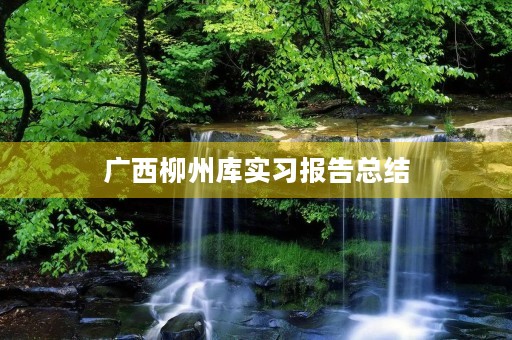 广西柳州库实习报告总结