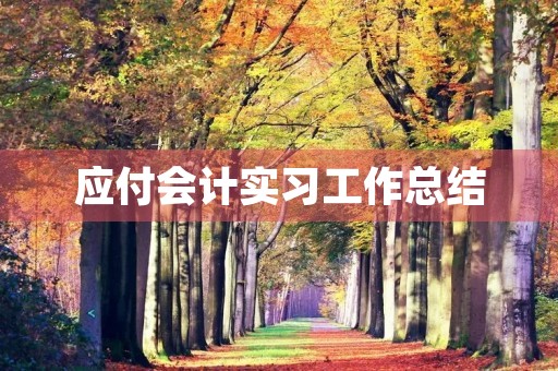 应付会计实习工作总结