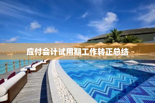 应付会计试用期工作转正总结