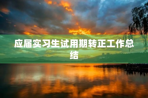 应届实习生试用期转正工作总结
