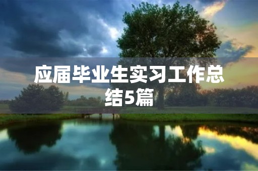 应届毕业生实习工作总结5篇