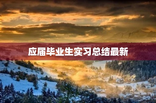 应届毕业生实习总结最新 应届毕业生实习总结最新