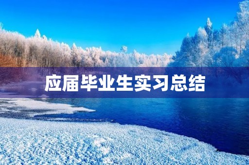 应届毕业生实习总结 应届毕业生实习总结