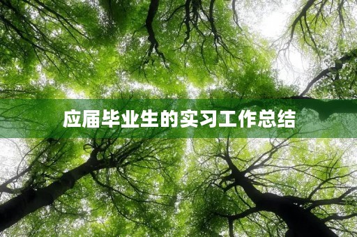 应届毕业生的实习工作总结 应届毕业生的实习工作总结