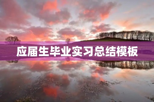 应届生毕业实习总结模板 应届生毕业实习总结模板