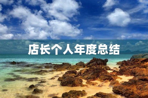店长个人年度总结