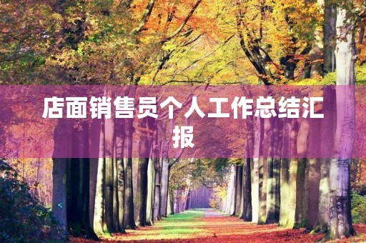店面销售员个人工作总结汇报