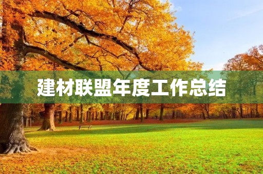 建材联盟年度工作总结
