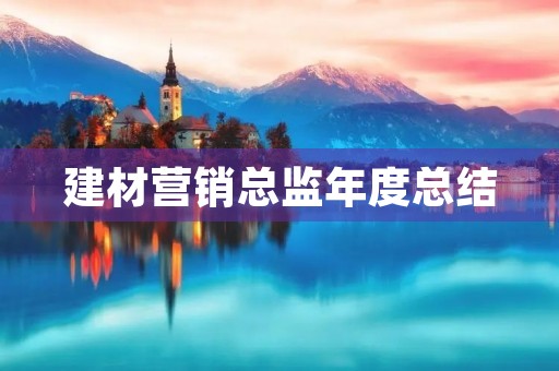 建材营销总监年度总结