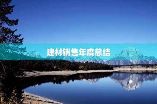 建材销售年度总结