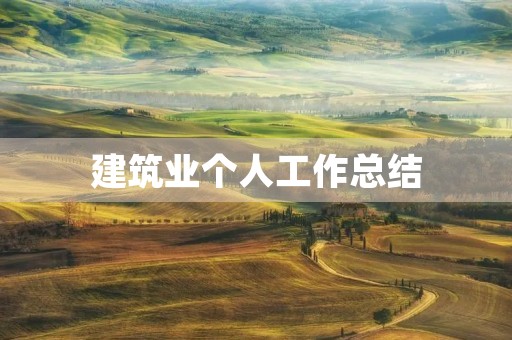 建筑业个人工作总结（10篇）