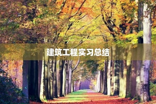 建筑工程实习总结