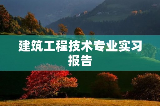 建筑工程技术专业实习报告 建筑工程技术专业实习报告