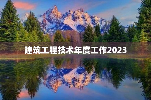 建筑工程技术年度工作2023