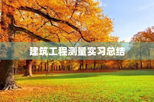 建筑工程测量实习总结