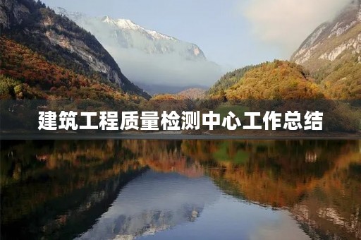 建筑工程质量检测中心工作总结