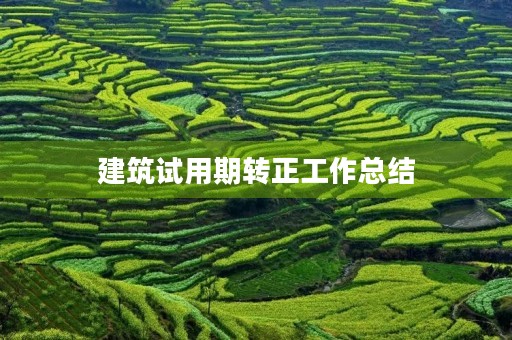 建筑试用期转正工作总结