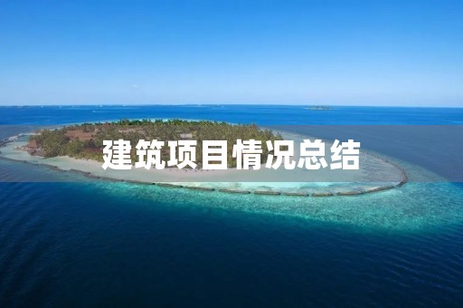 建筑项目情况总结