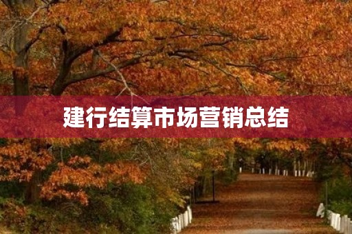 建行结算市场营销总结