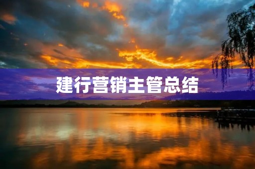 建行营销主管总结
