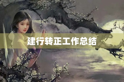 建行转正工作总结