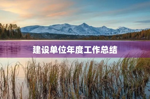 建设单位年度工作总结