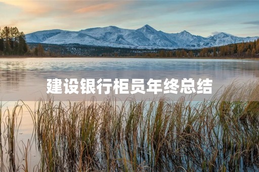 建设银行柜员年终总结