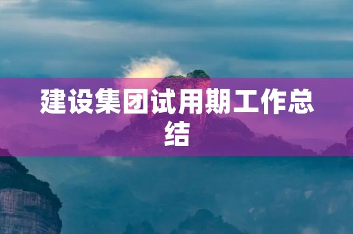 建设集团试用期工作总结