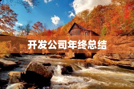 开发公司年终总结