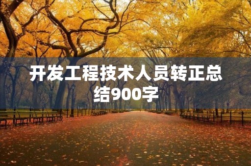 开发工程技术人员转正总结900字