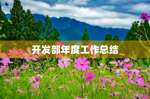 开发部年度工作总结 开发部年度工作总结