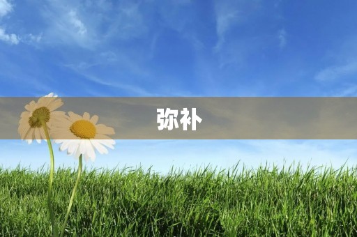 弥补