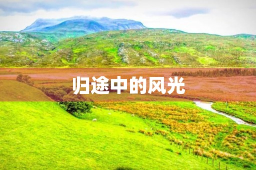 归途中的风光