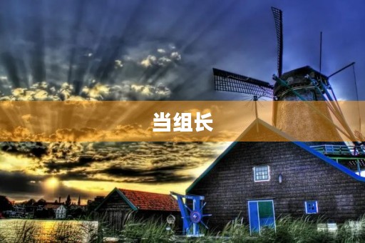 当组长 当组长