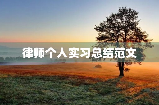律师个人实习总结范文 律师个人实习总结范文